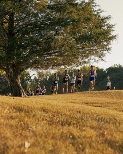The Ultimate Guide To Cross Country Spikes