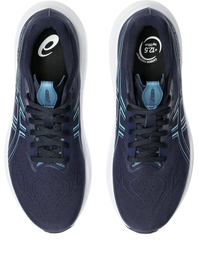 Men's ASICS GT-2000 14
