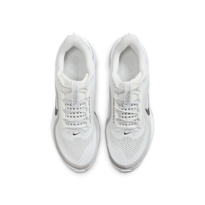 Men's Nike Pegasus Premium