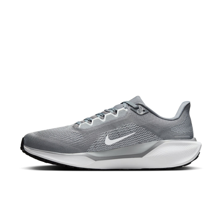 Men's Nike Pegasus 41 – =PR= Run & Walk