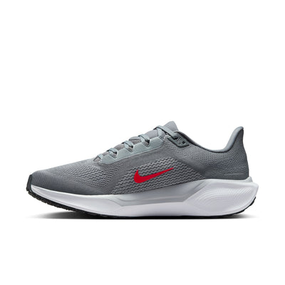 Men's Nike Pegasus 41 - FD2722-013