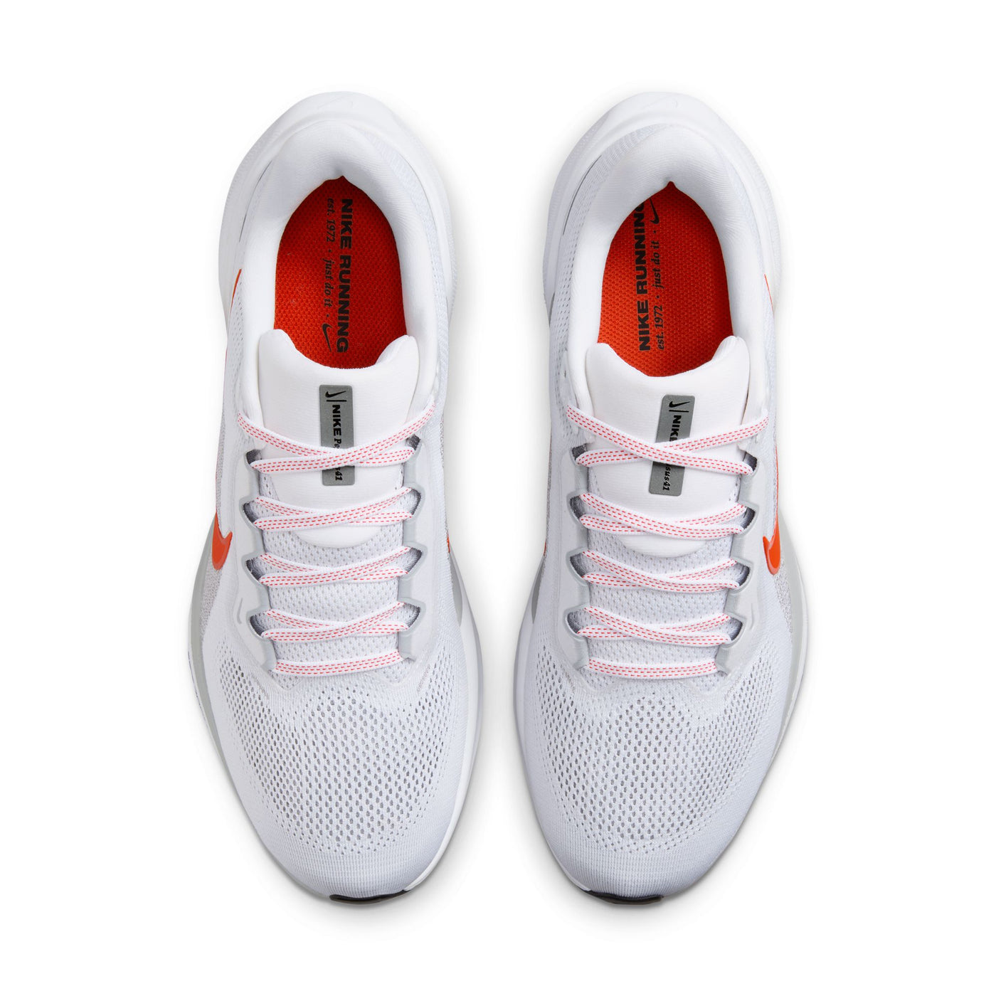 Men's Nike Pegasus 41 - FD2722-108