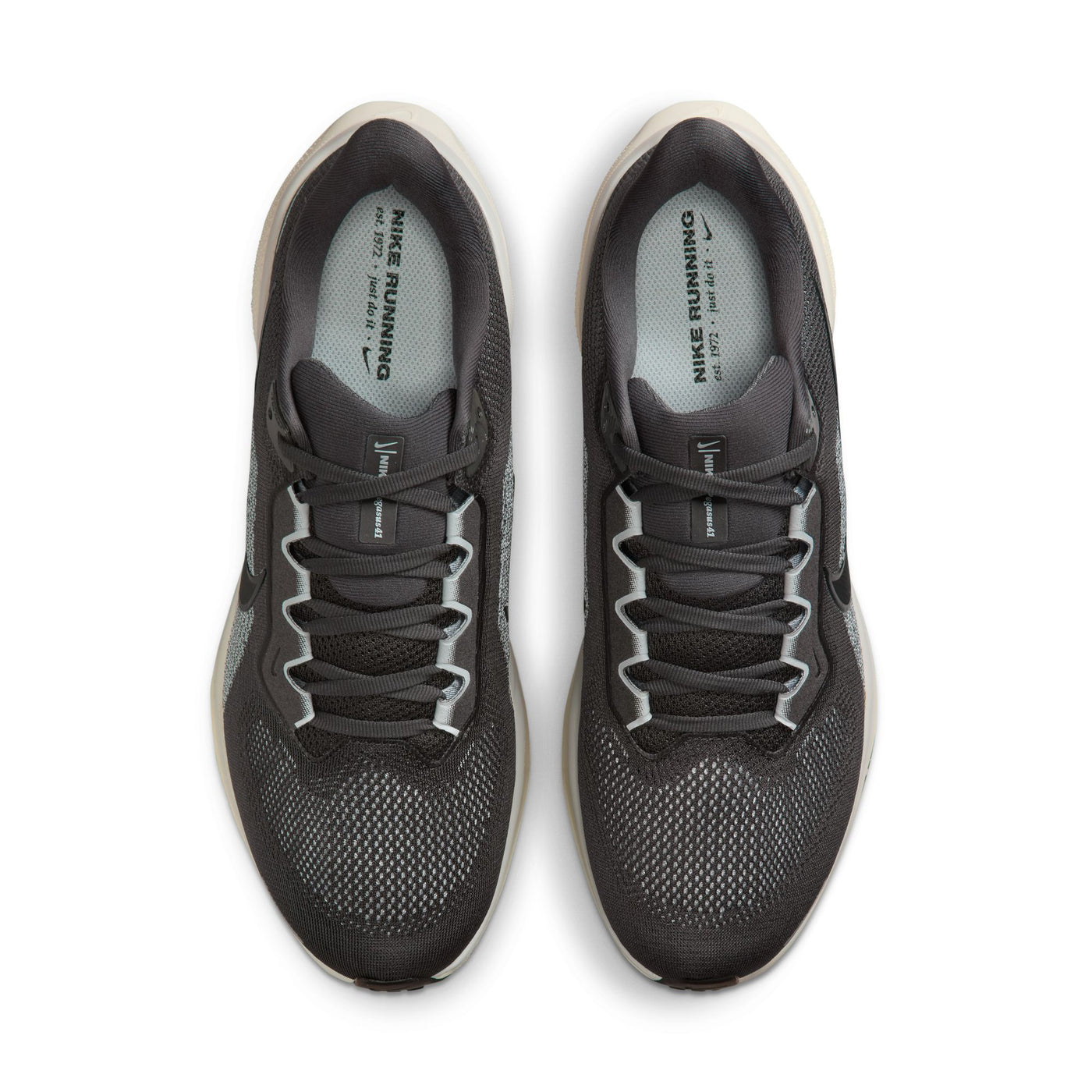 Men's Nike Pegasus 41 - FD2722-215