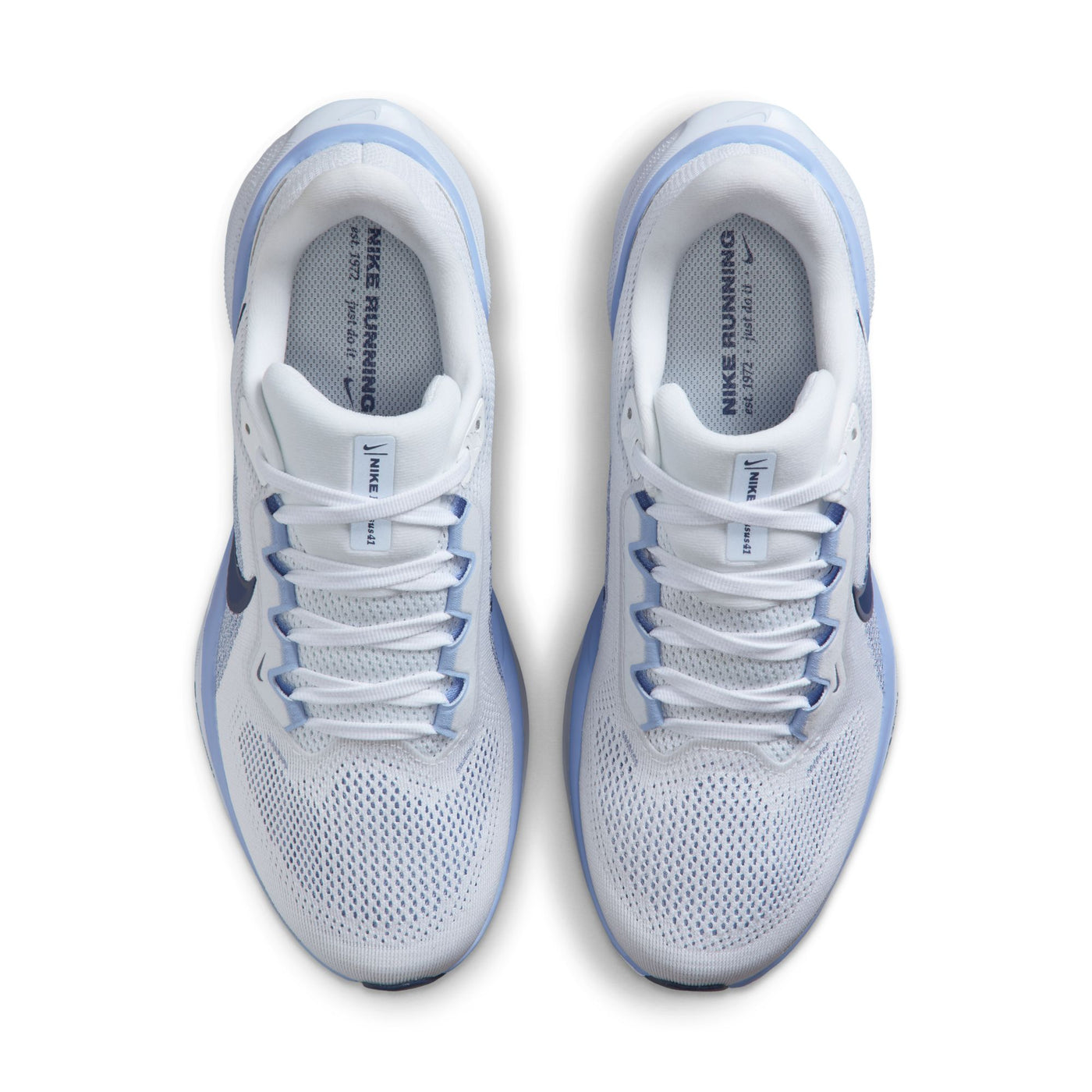 Women's Nike Pegasus 41 - FD2723-125