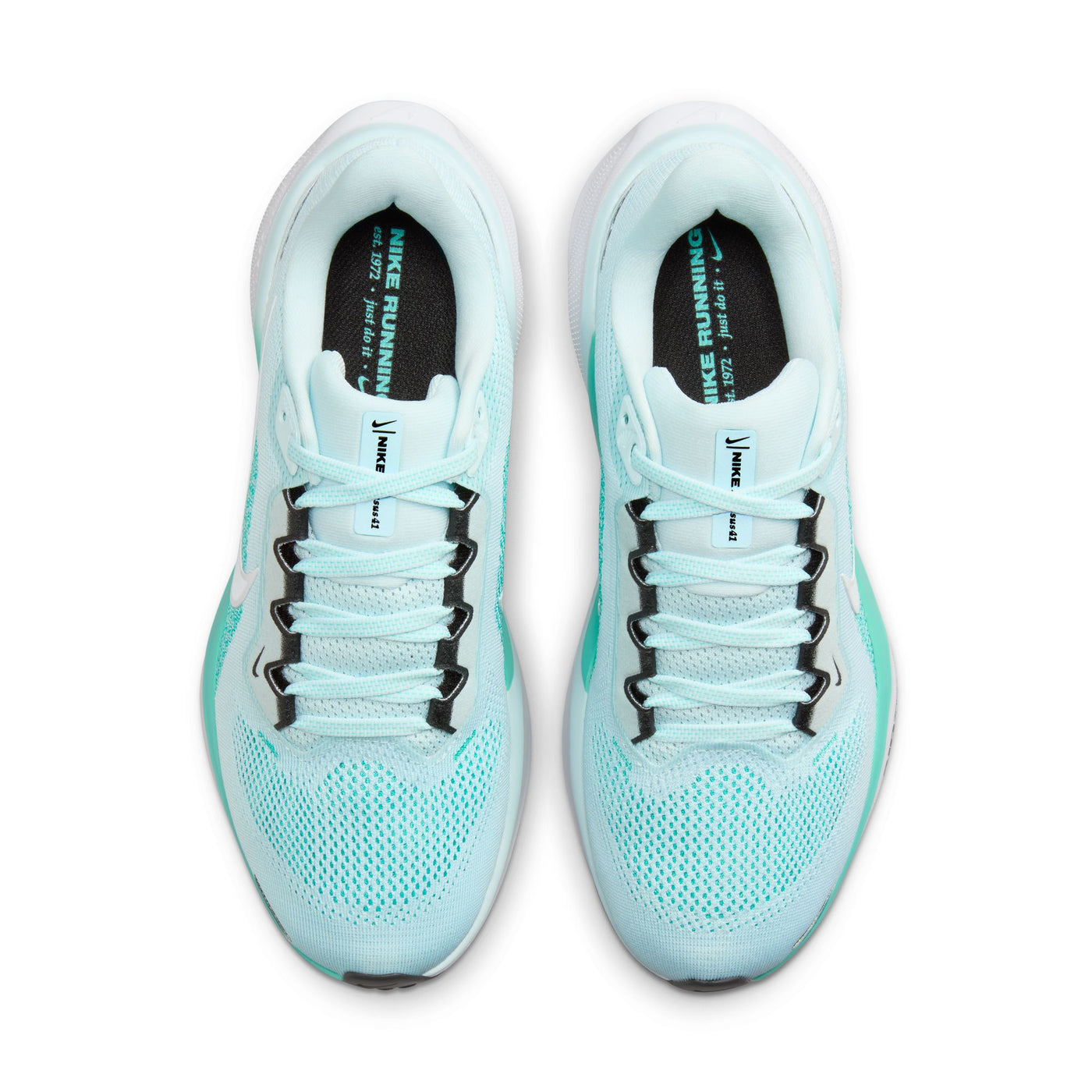 Women's Nike Pegasus 41 - FD2723-401