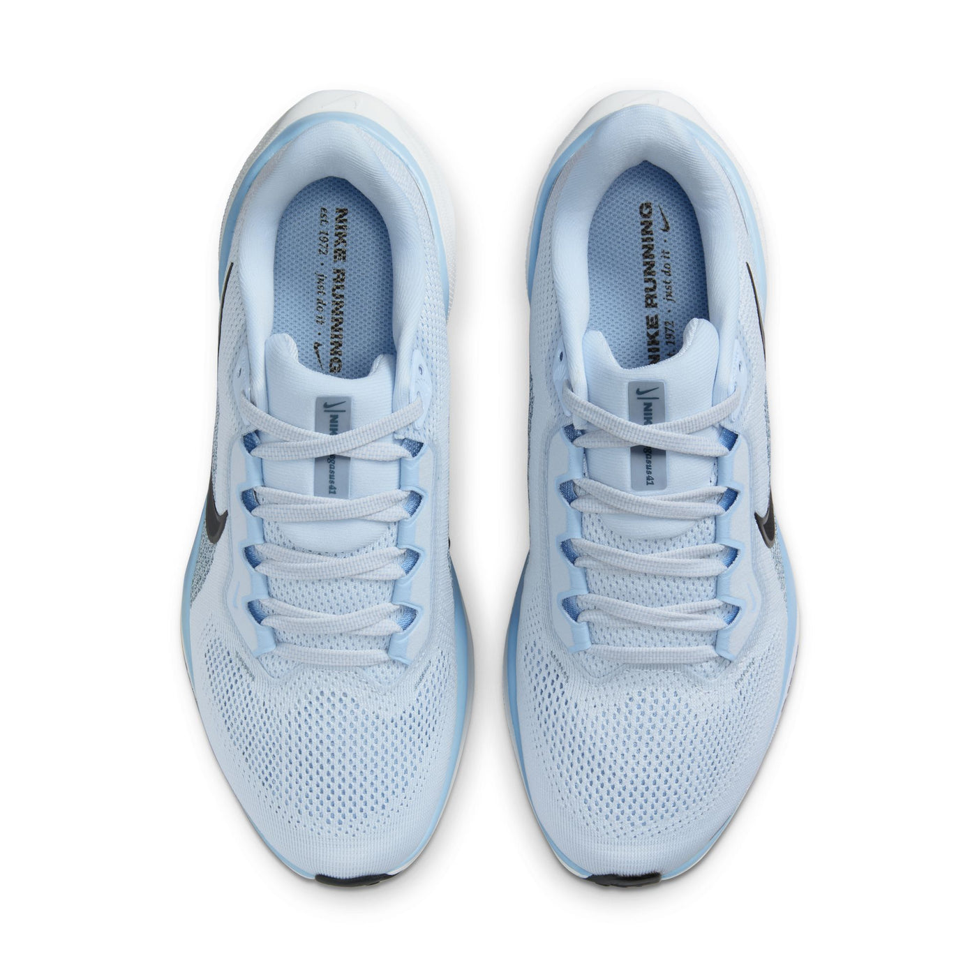 Men's Nike Pegasus 41 - FD2723-404