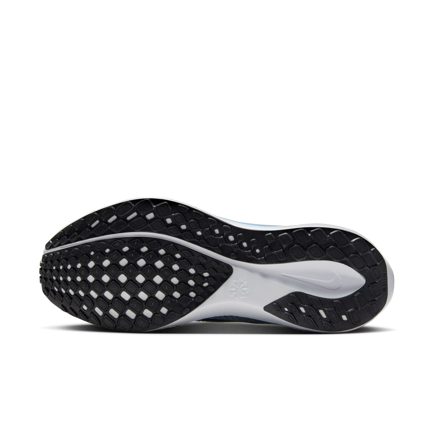 Men's Nike Pegasus 41 - FD2723-404