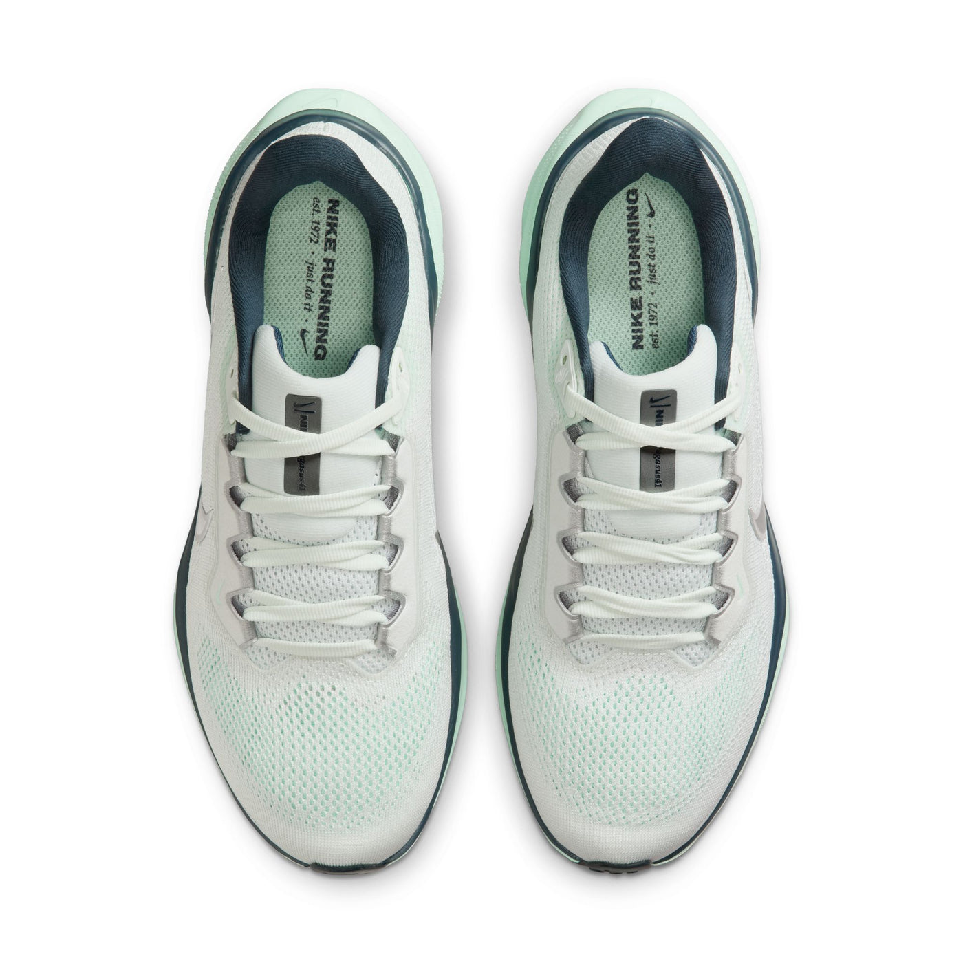 Women's Nike Pegasus 41 - FD2723-405