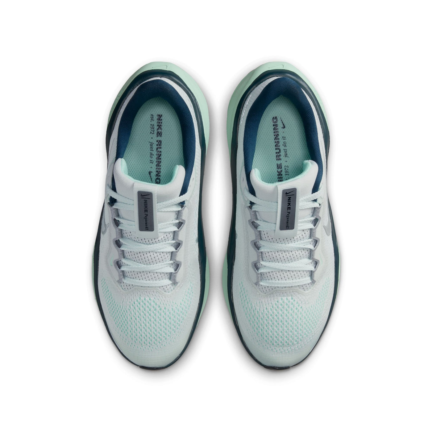 Kid's Nike Pegasus 41 - FN5041-404