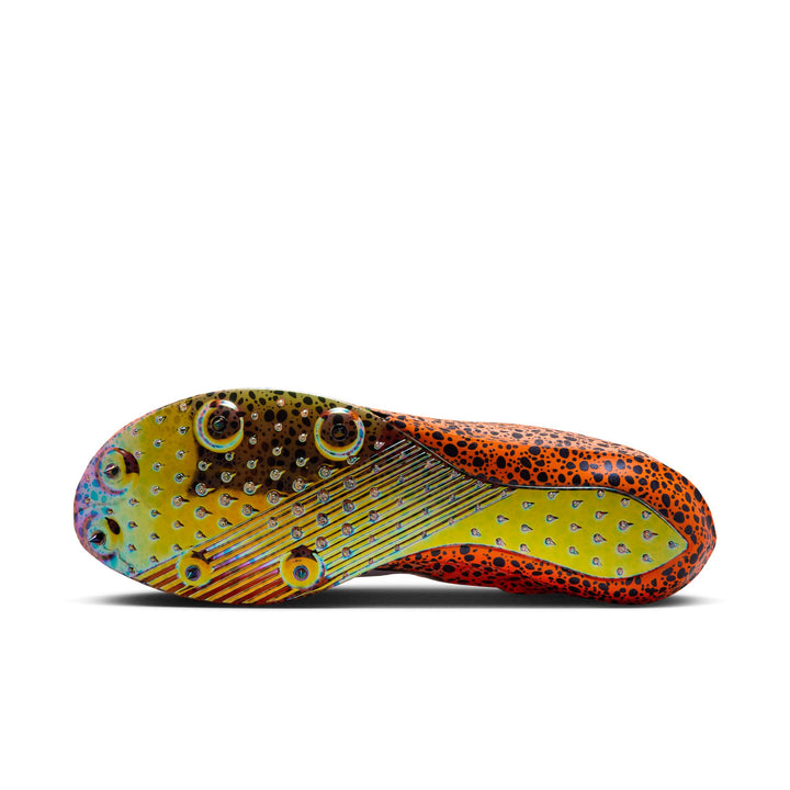 AURORA_FV2322-900_PHSUH000-