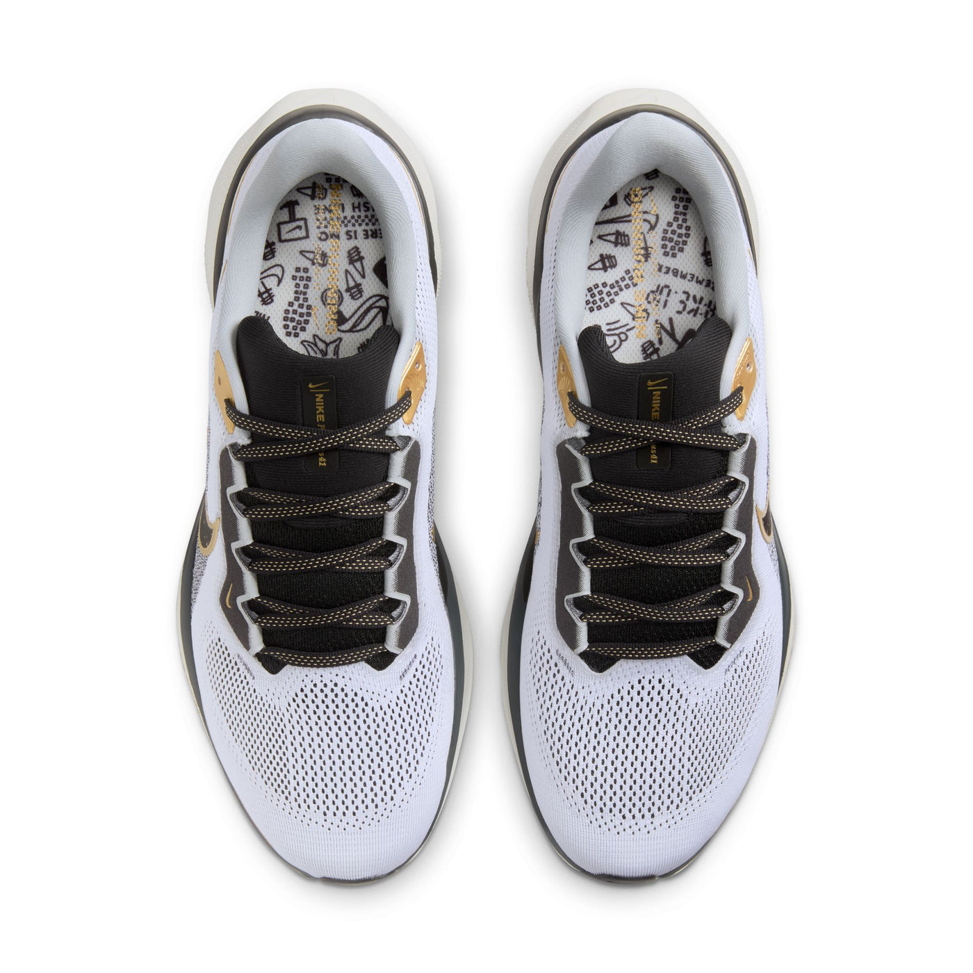 Men's Nike Pegasus 41 - HQ3220-100