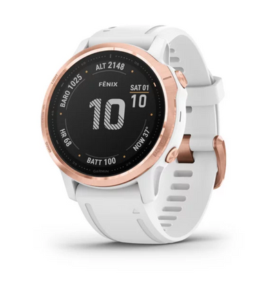 Garmin International Fenix 6S Pro 010-02159-10