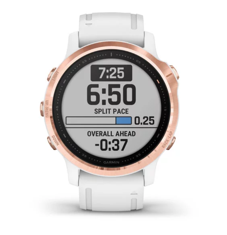 Garmin International Fenix 6S Pro 010-02159-10