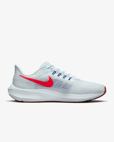 Men's Nike Air Zoom Pegasus 39-DH4071-007