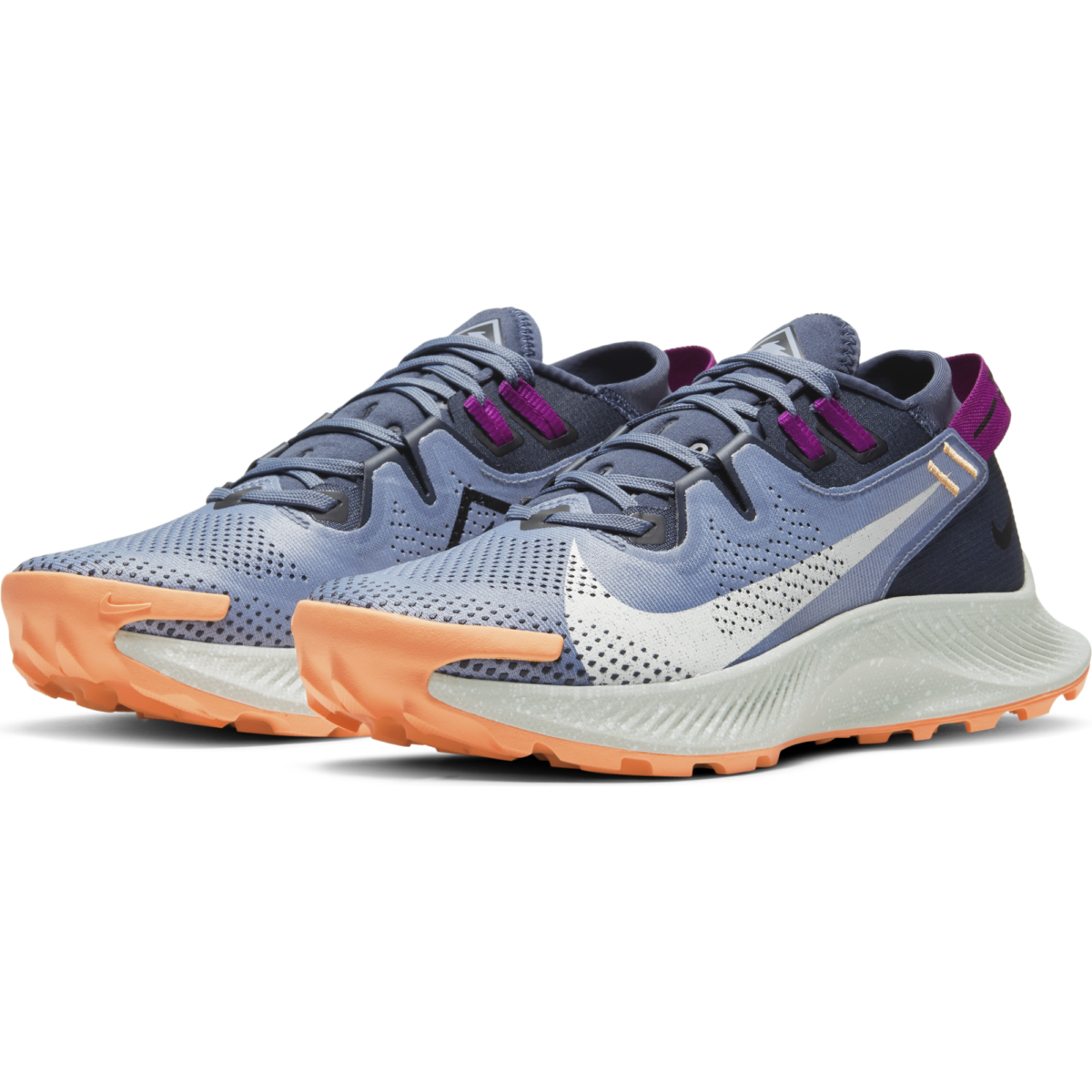 Women's Nike Pegasus Trail 2 CK4309-401