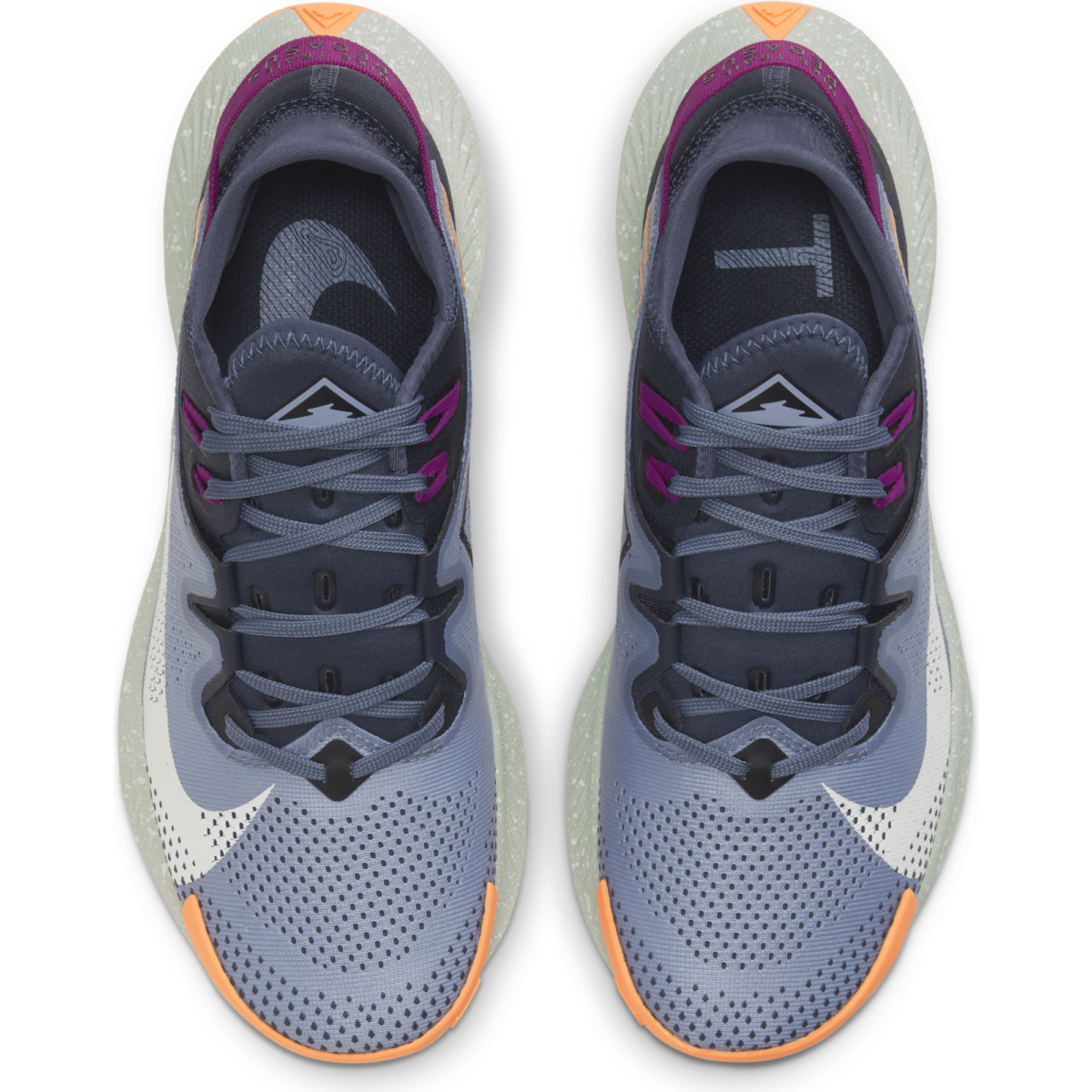 Women's Nike Pegasus Trail 2 CK4309-401