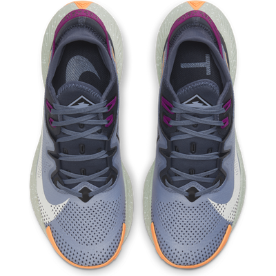 Women's Nike Pegasus Trail 2 CK4309-401