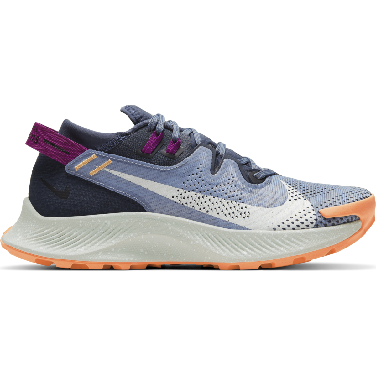 Women's Nike Pegasus Trail 2 CK4309-401