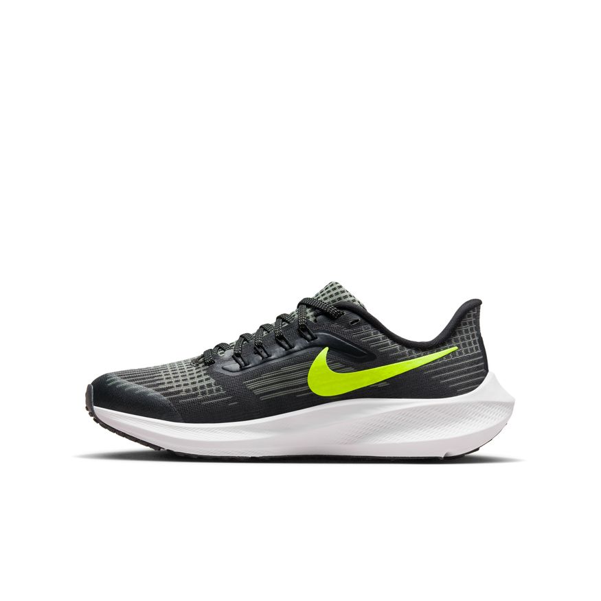 Kid's Nike Pegasus 39 - DM4015-002