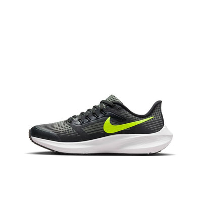 Kid's Nike Pegasus 39 - DM4015-002