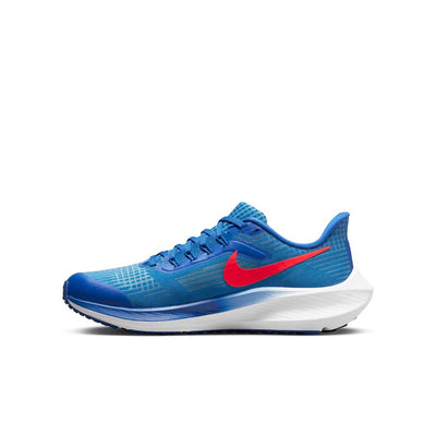 Kid's Nike Pegasus 39 - DM4015-411