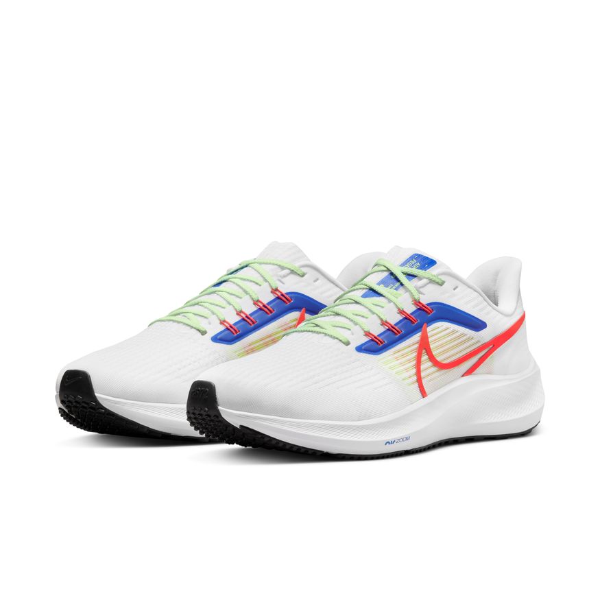 Men's Nike Pegasus 39 - DX3354-100