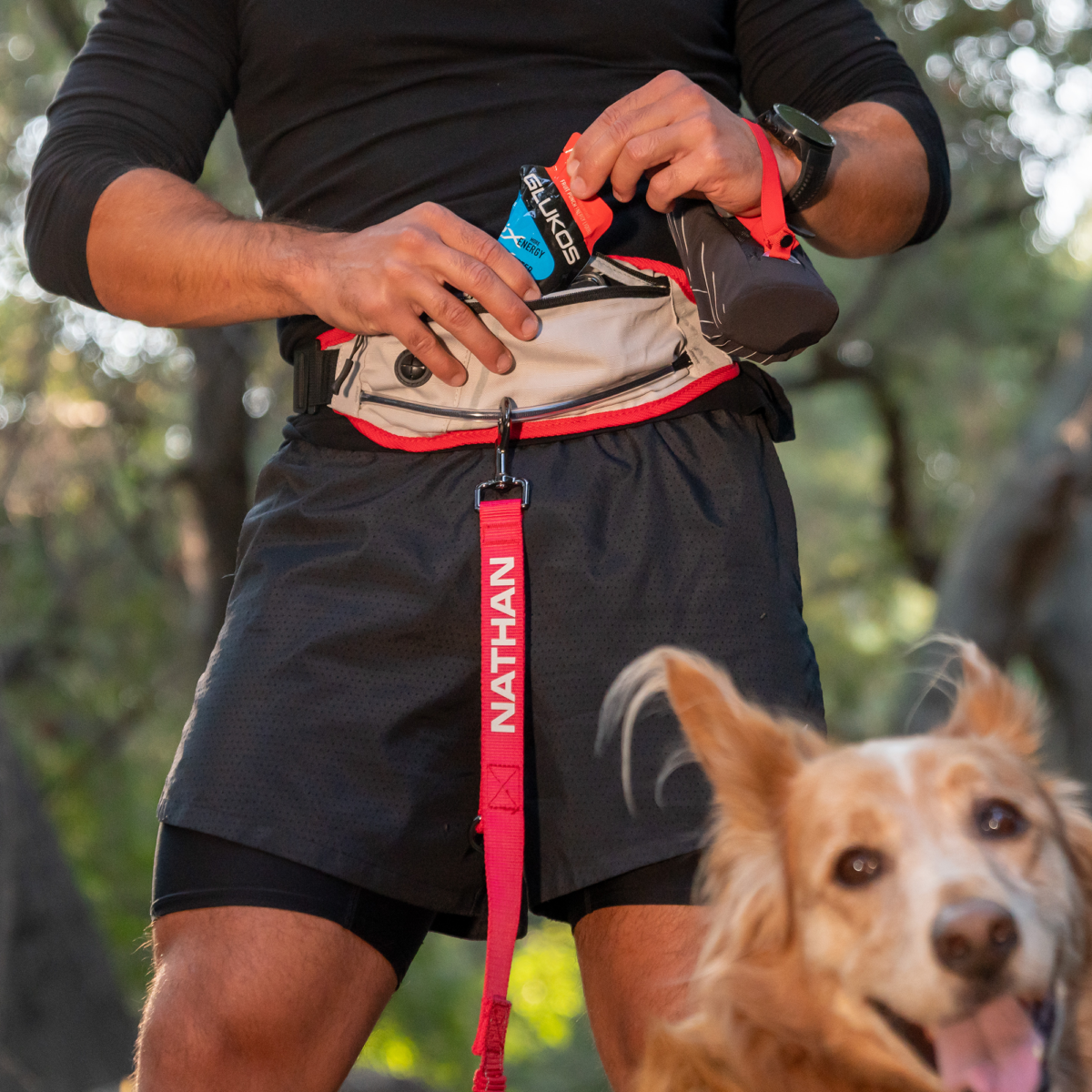 Nathan K9 Waist Pack With Dog Leash NS8511-0579-00