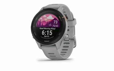 Garmin Forerunner 255S - 010-02641-02